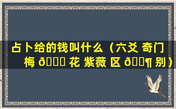 占卜给的钱叫什么（六爻 奇门 梅 🐘 花 紫薇 区 🐶 别）